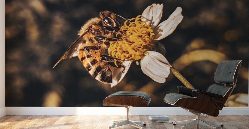 Bee Wall Murals