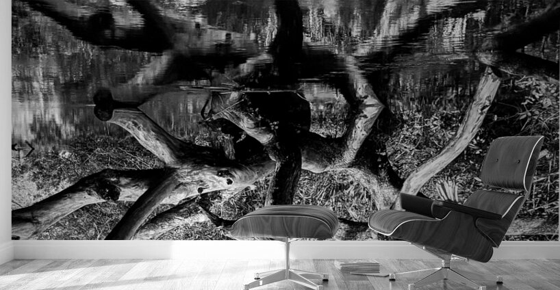 Black and White Reflection Wall Murals