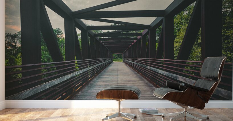 Bridge Wall Murals