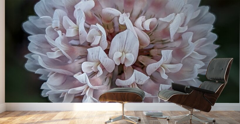 Clover Wall Murals
