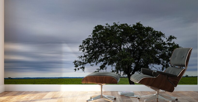 Lone Tree Wall Murals