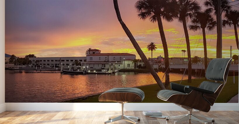 Panoramic Sunset Wall Murals