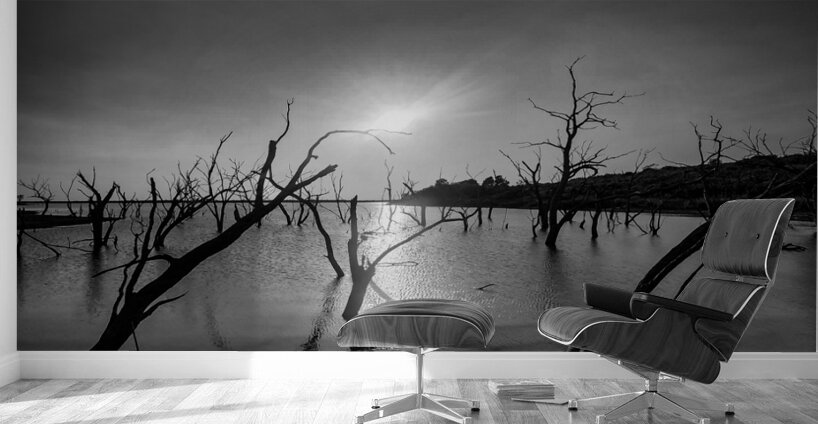 Black and white Texas lake Wall Murals