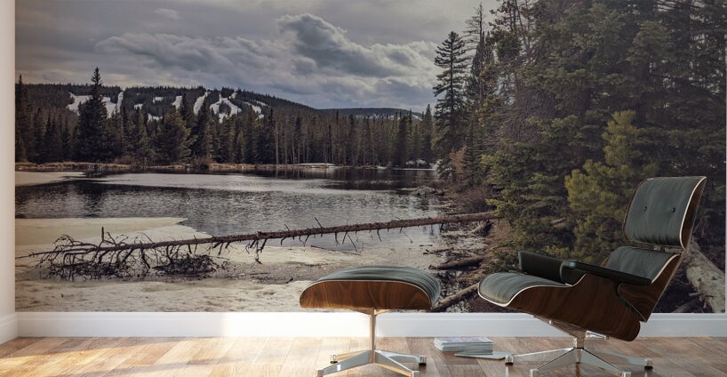 Snowy Colorado Wall Murals