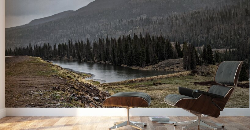 Colorado Wall Murals