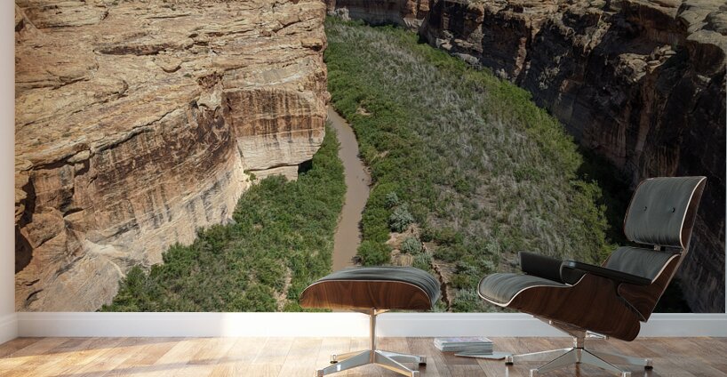 Canyon Wall Murals