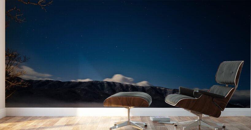 Tennessee at night Wall Murals