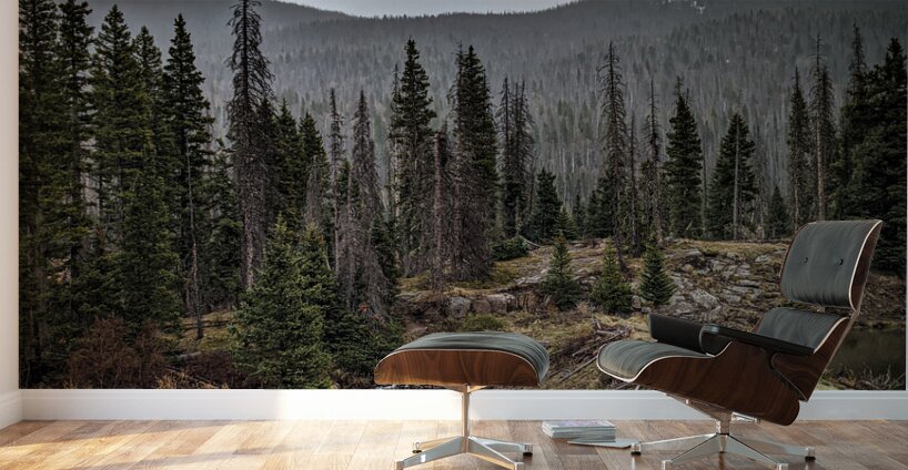 Moody Colorado Wall Murals