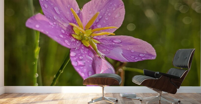 Pink Flowers Wall Murals