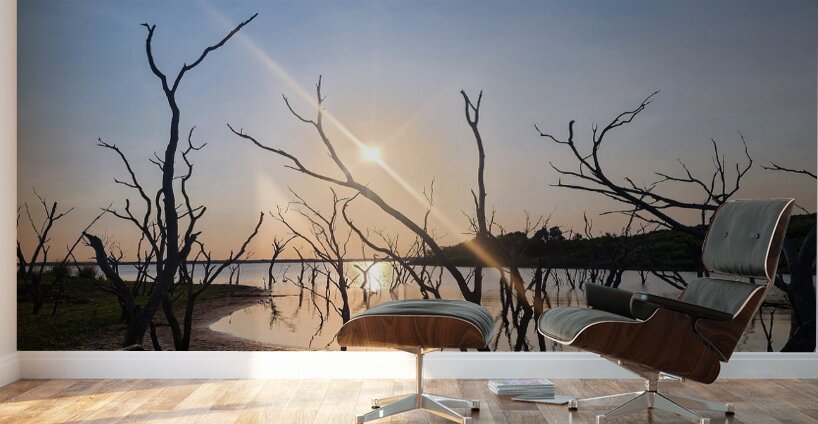 Texas Reflections Wall Murals