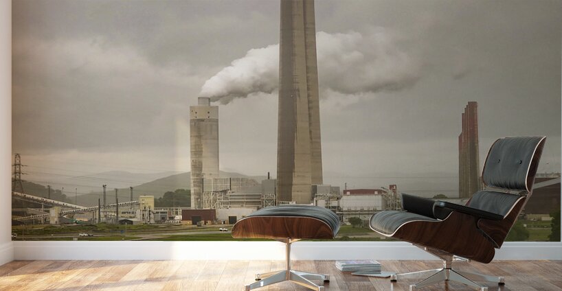 Industrial Beauty Wall Murals