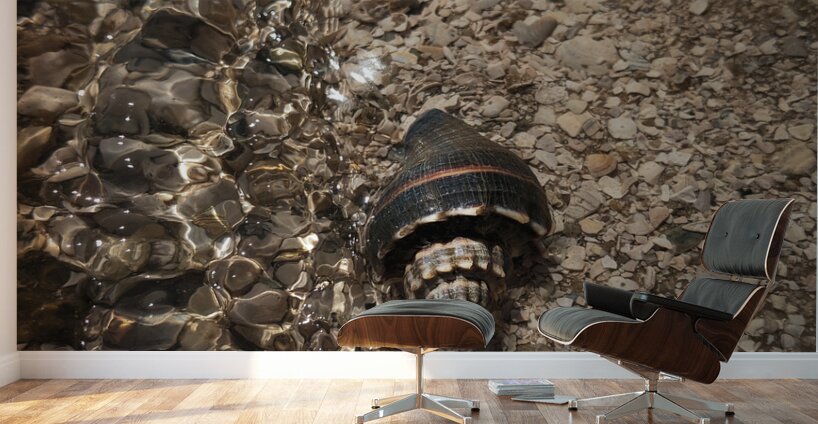 Before the wave Wall Murals