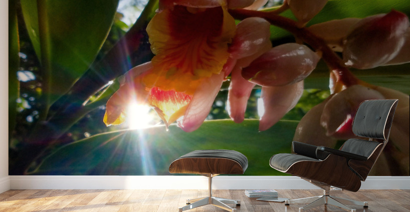 MORNING FLOWER Wall Murals