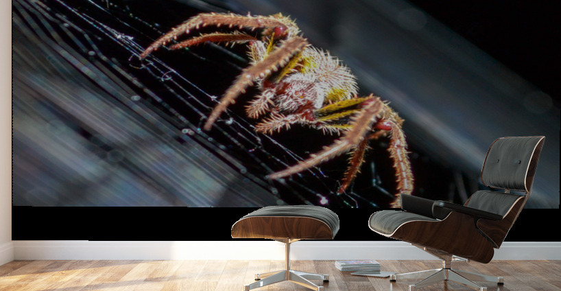 Meal Time Wall Murals