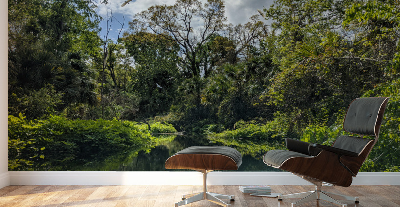 Paradise Wall Murals