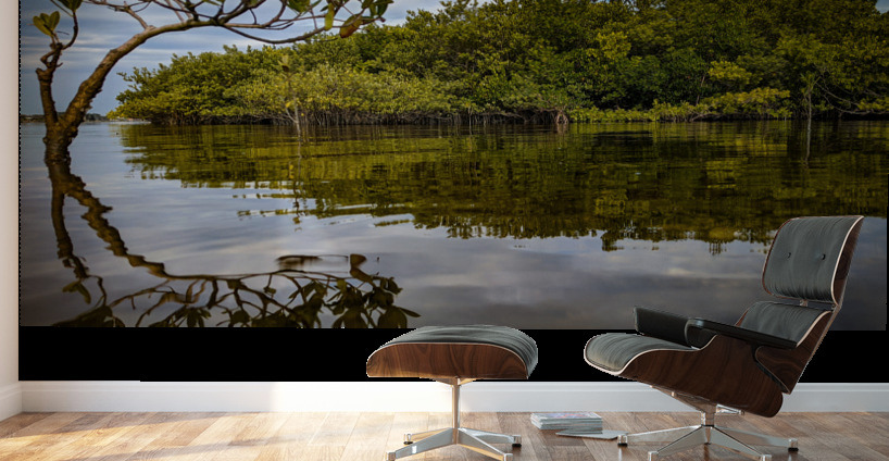 Island Time Wall Murals