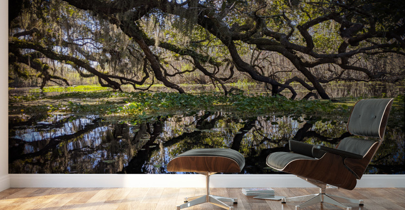 Reflections Wall Murals