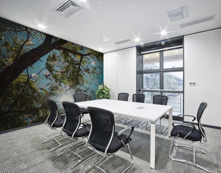 Mimosa in the sky Wall Printing