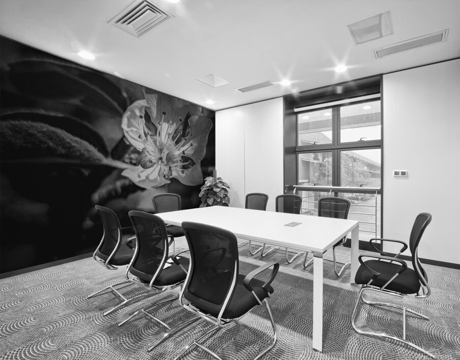 Flower Black and White Wall Printing