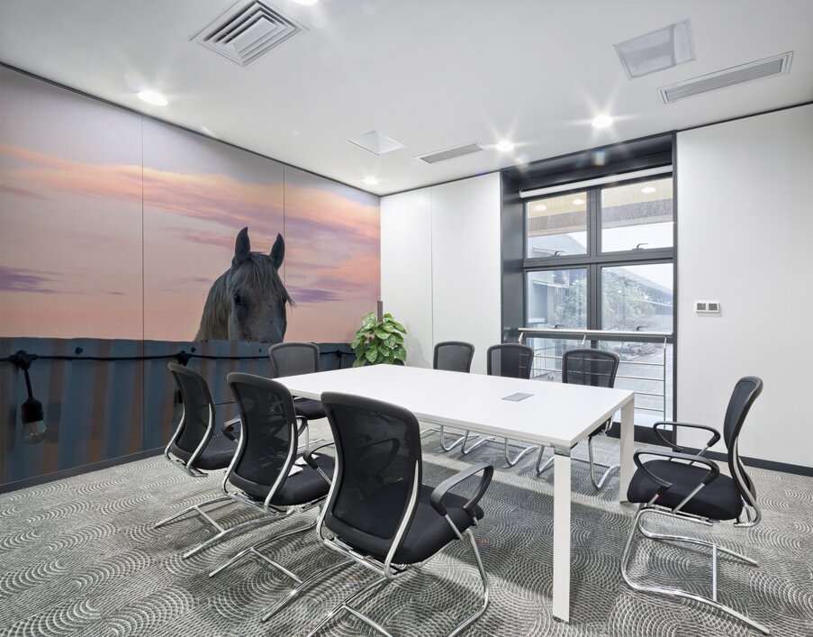 Peekaboo Horse Wall Printing