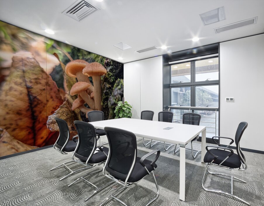 Orange Mushrooms Wall Printing