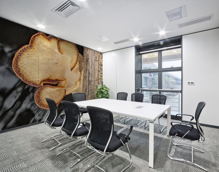 Water Mushroom Wall Printing