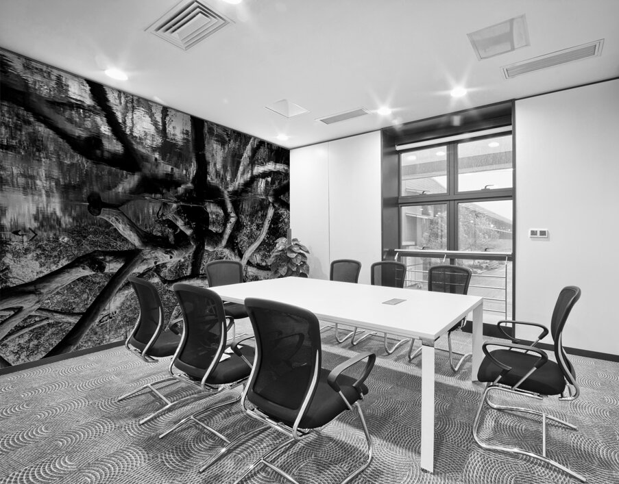 Black and White Reflection Wall Printing