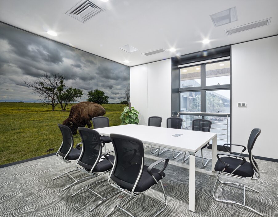 Bison Wall Printing