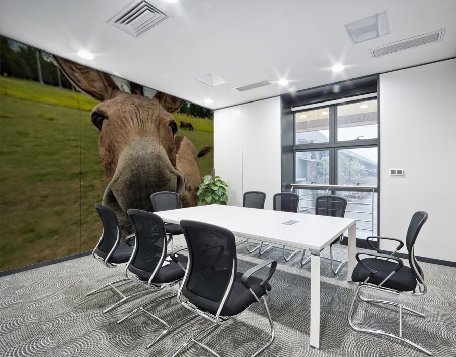 Funny Donkey Wall Printing