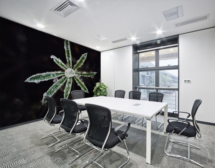 Dew plant Wall Printing