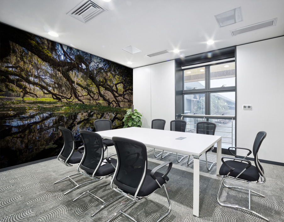 Reflections Wall Printing