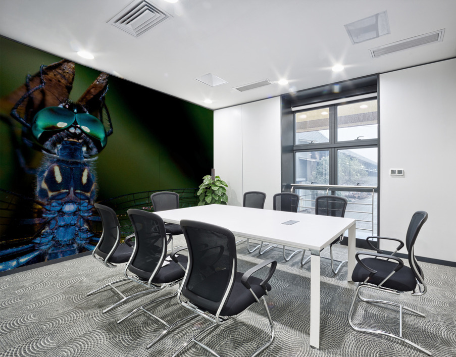 Blue Dragonfly Wall Printing