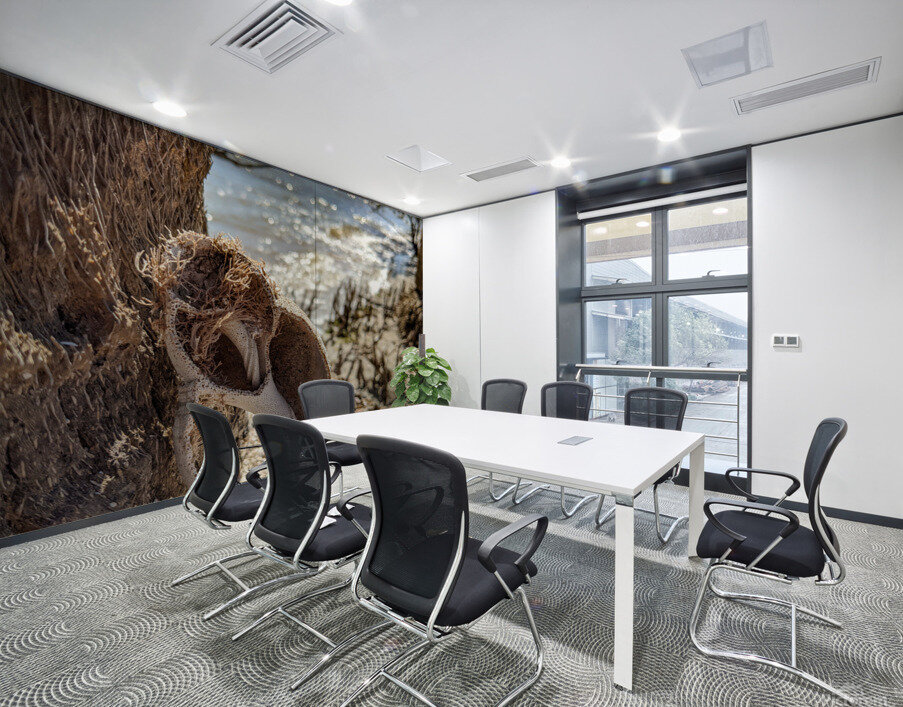 Shell on tree Wall Printing