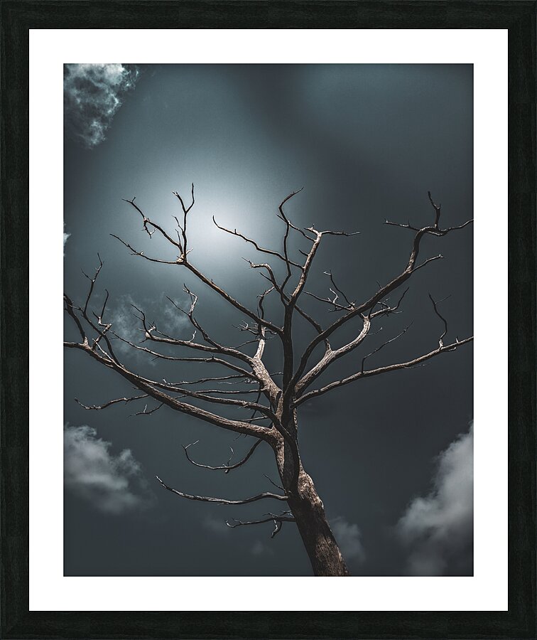  Fine Art print