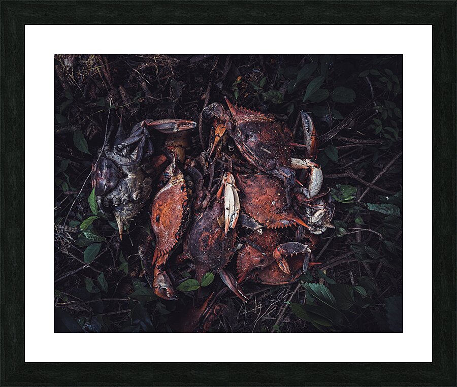  Fine Art print