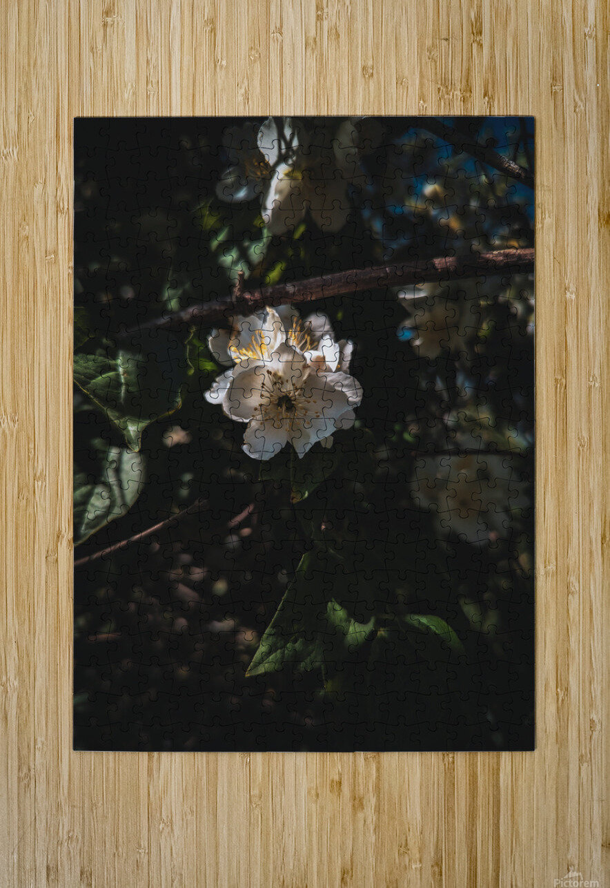 Mock Orange LNC PHOTOGRAPHY Puzzle printing