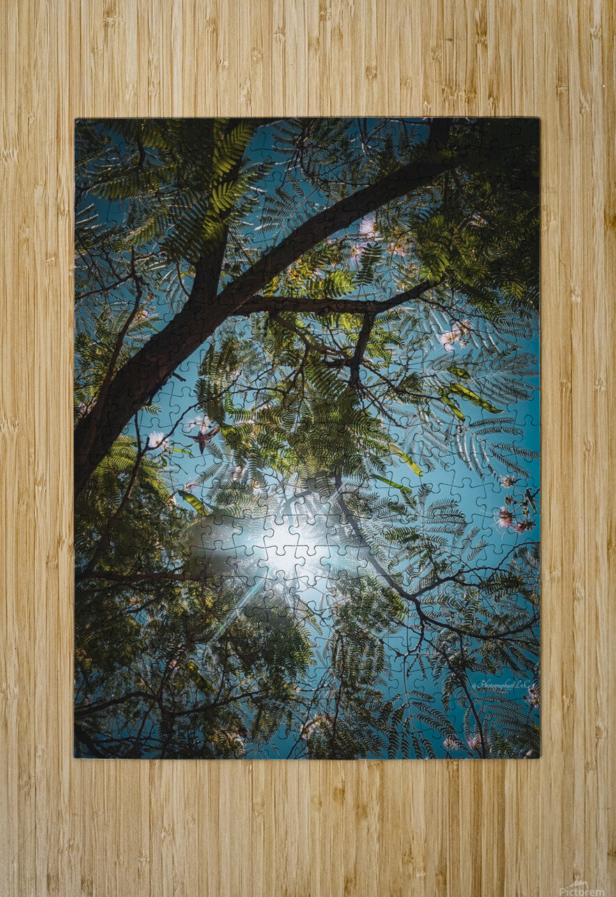 Mimosa in the sky LNC PHOTOGRAPHY Puzzle printing