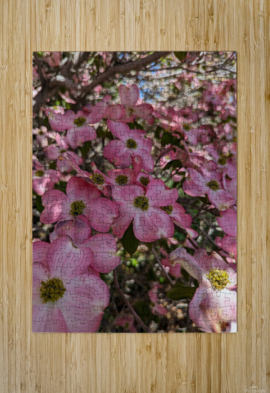 Apple Blossoms LNC PHOTOGRAPHY Puzzle printing