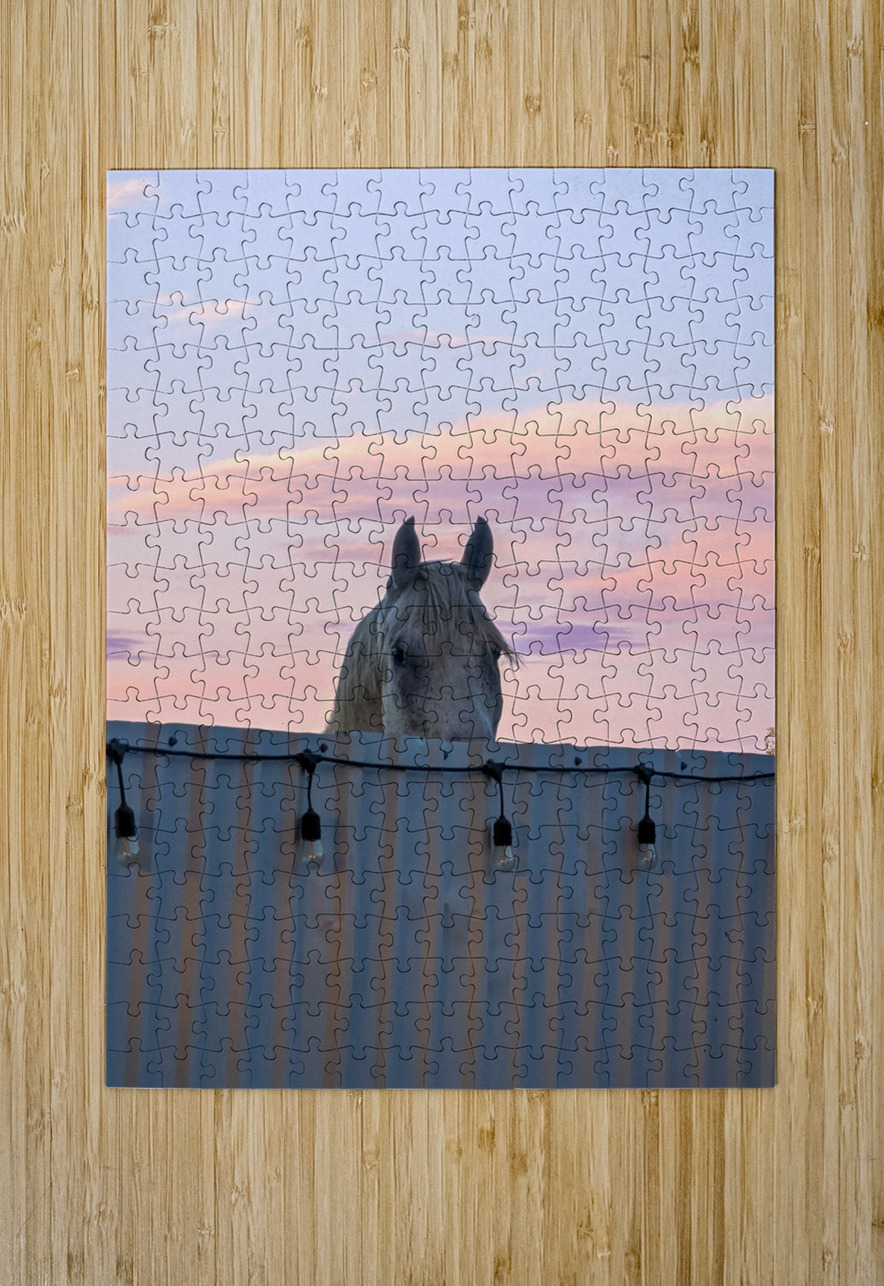 Peekaboo Horse LNC PHOTOGRAPHY Puzzle printing