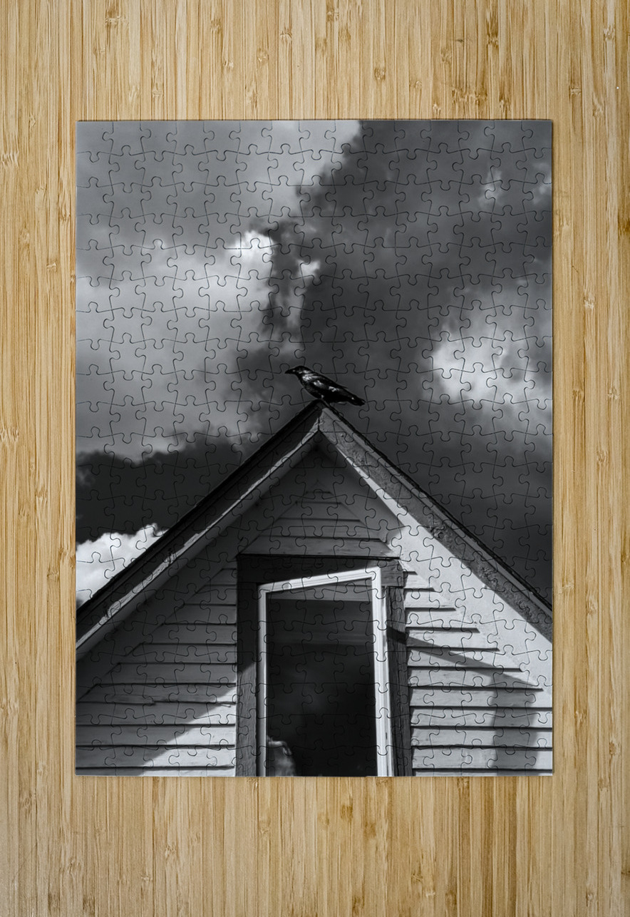 Black Bird on roof LNC PHOTOGRAPHY Puzzle printing