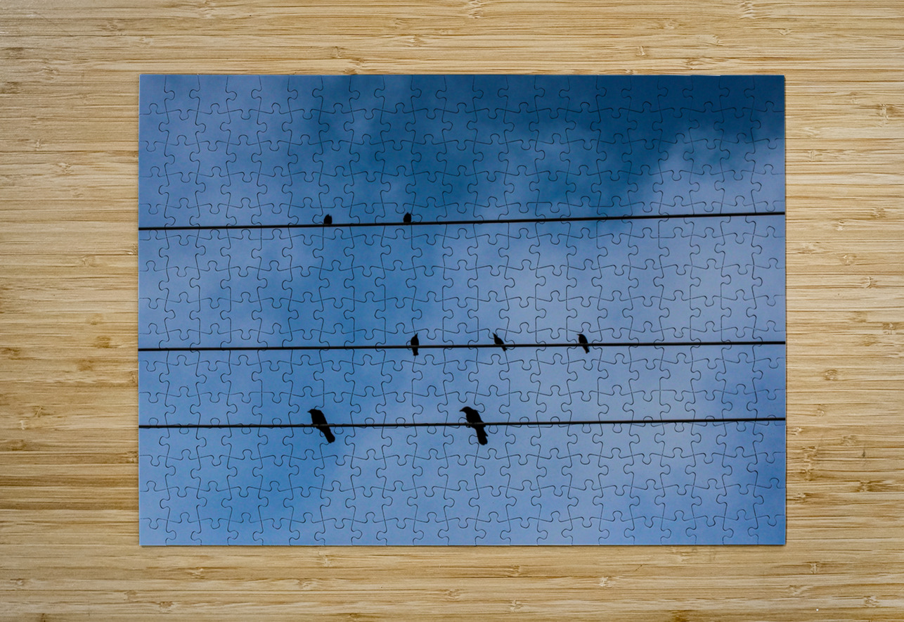 Birds on a wire LNC PHOTOGRAPHY Puzzle printing
