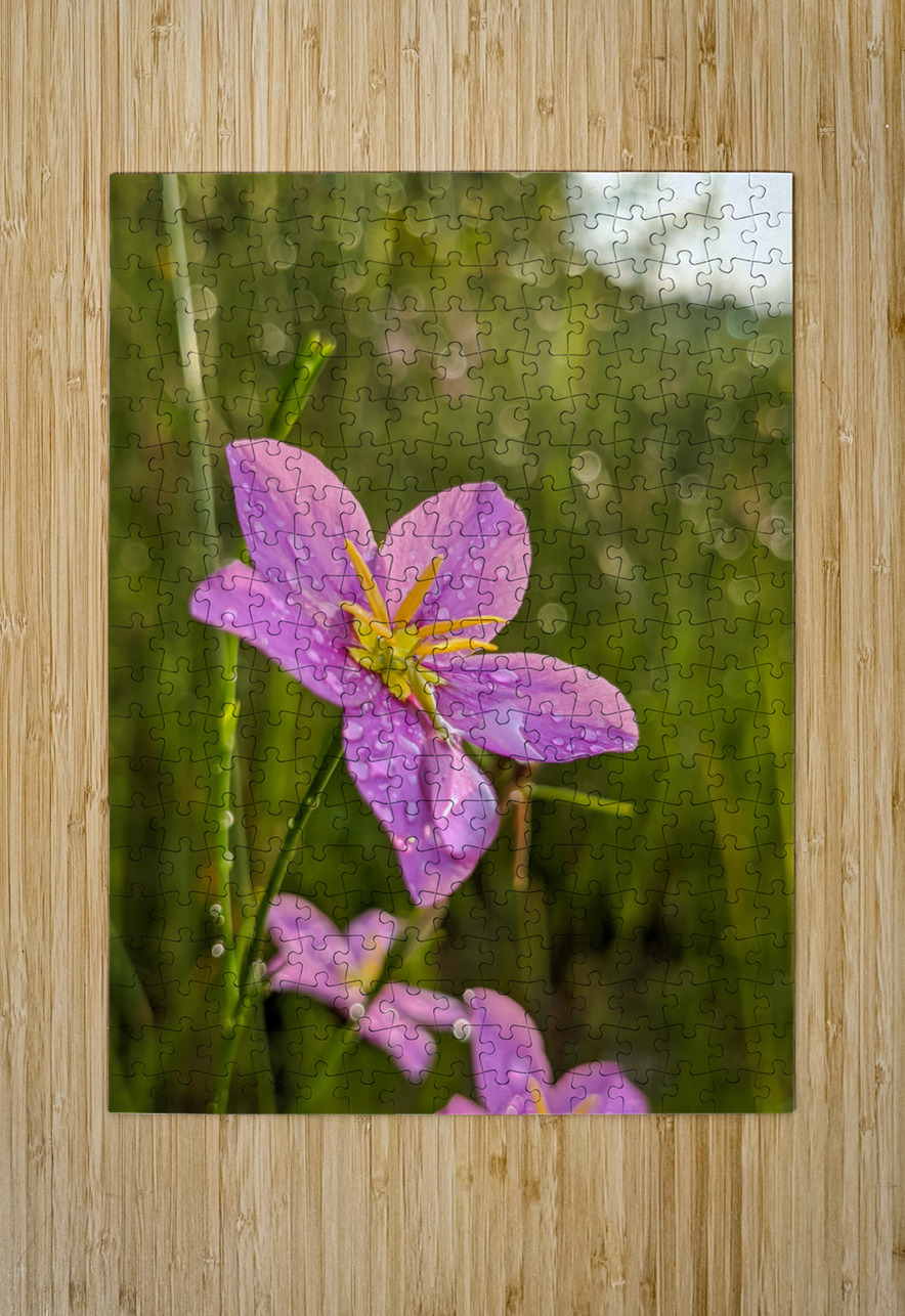 Pink Flower LNC PHOTOGRAPHY Puzzle printing