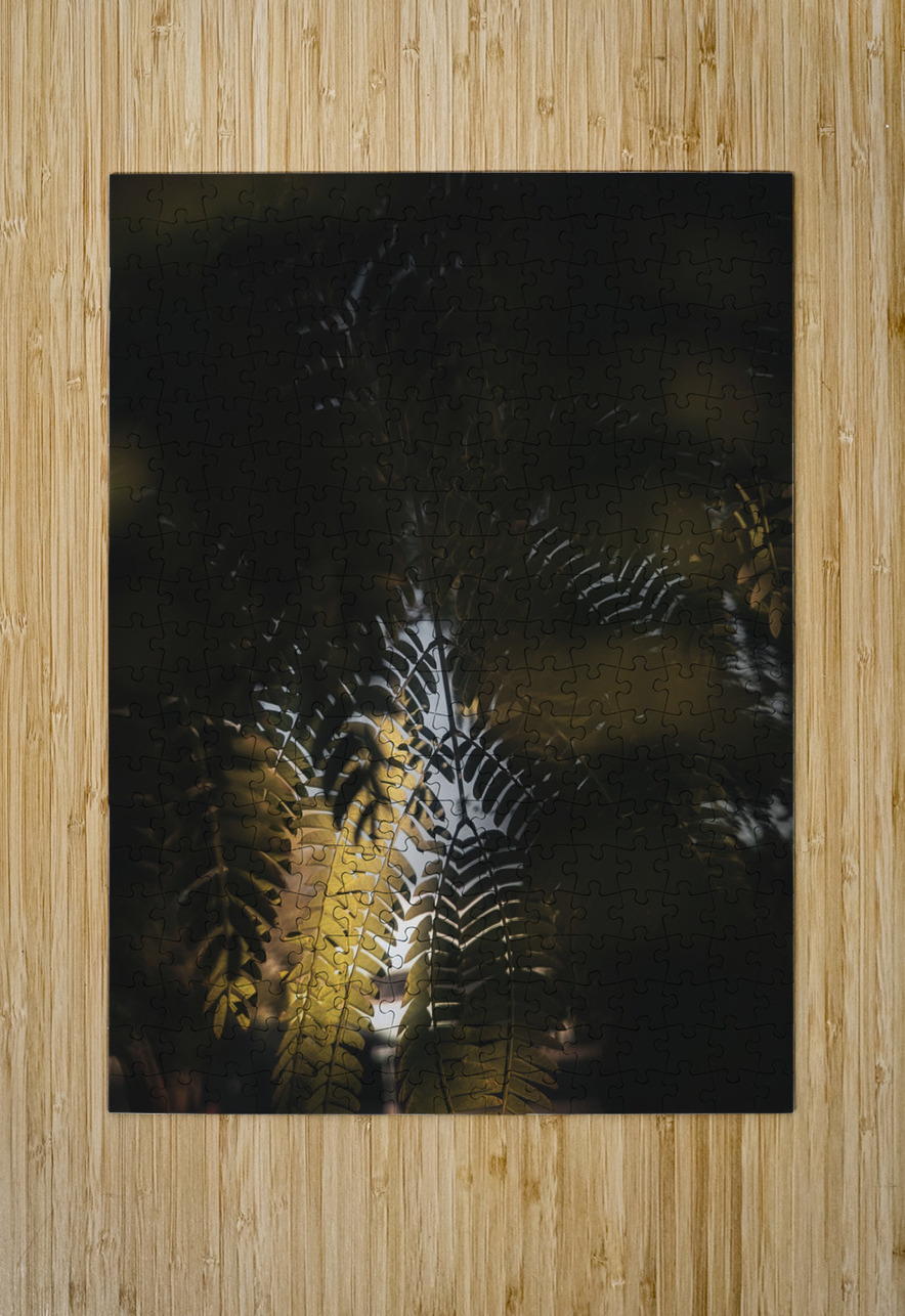 Light Fern LNC PHOTOGRAPHY Puzzle printing