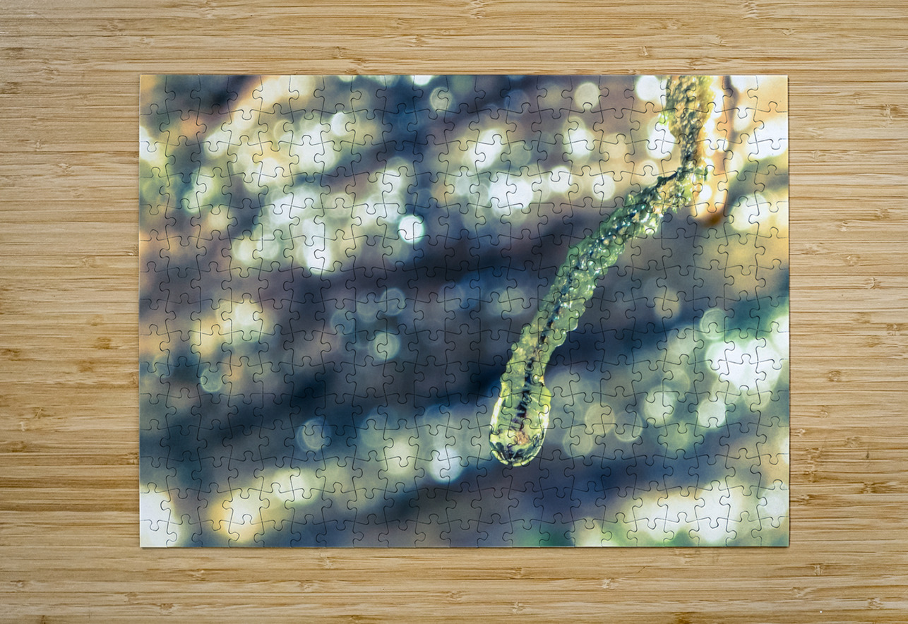 Beautified Slime LNC PHOTOGRAPHY Puzzle printing