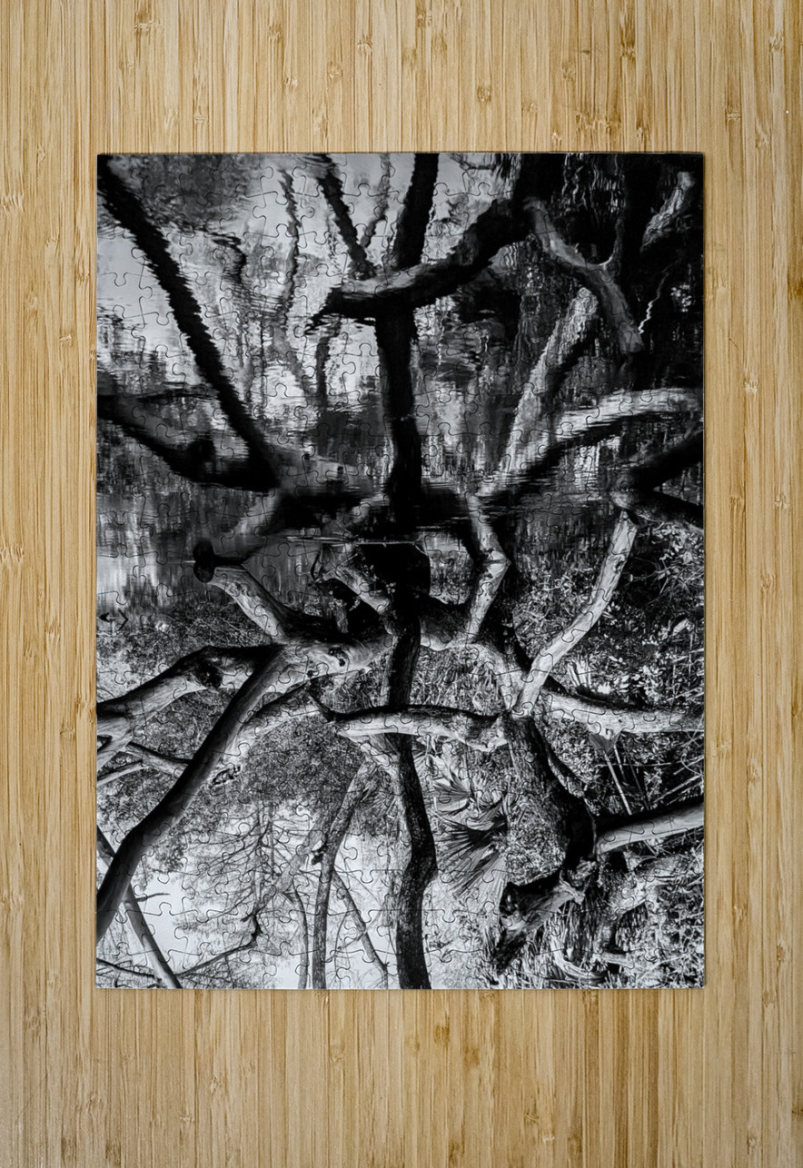 Black and White Reflection LNC PHOTOGRAPHY Puzzle printing