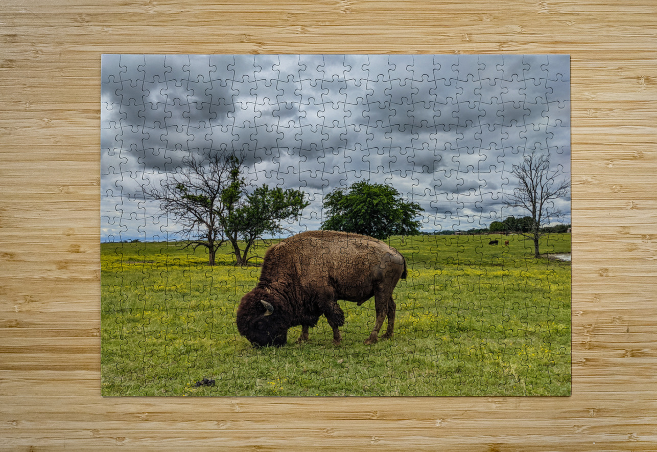 Bison LNC PHOTOGRAPHY Puzzle printing