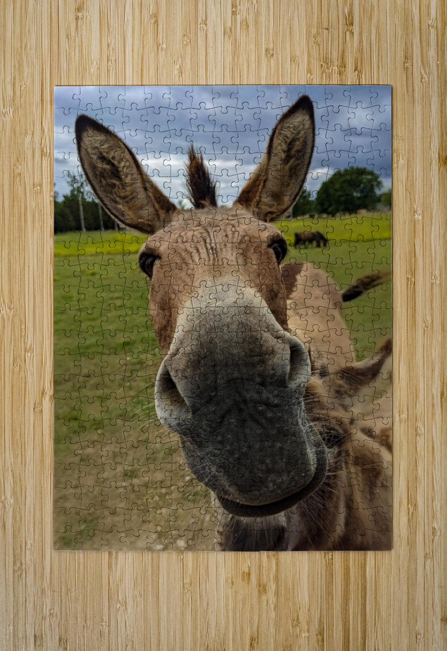 Funny Donkey LNC PHOTOGRAPHY Puzzle printing