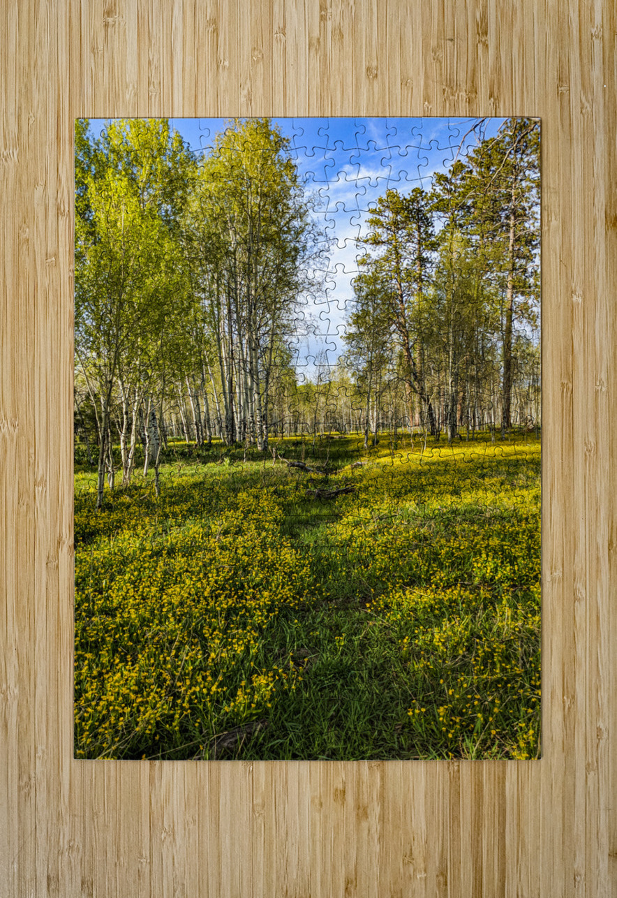 Colorado Forest LNC PHOTOGRAPHY Puzzle printing