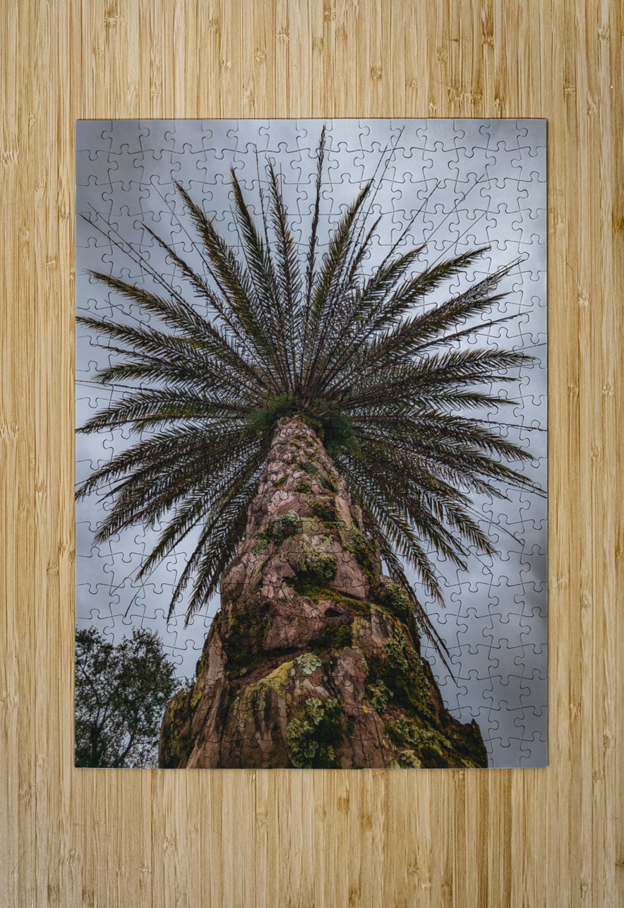 Palm Tree LNC PHOTOGRAPHY Puzzle printing