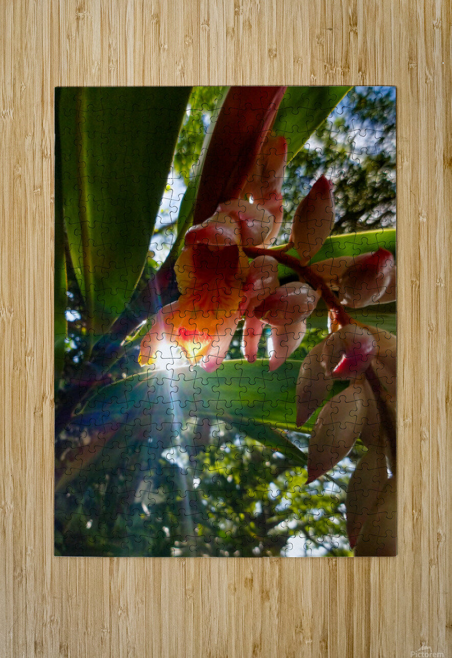 MORNING FLOWER LNC PHOTOGRAPHY Puzzle printing